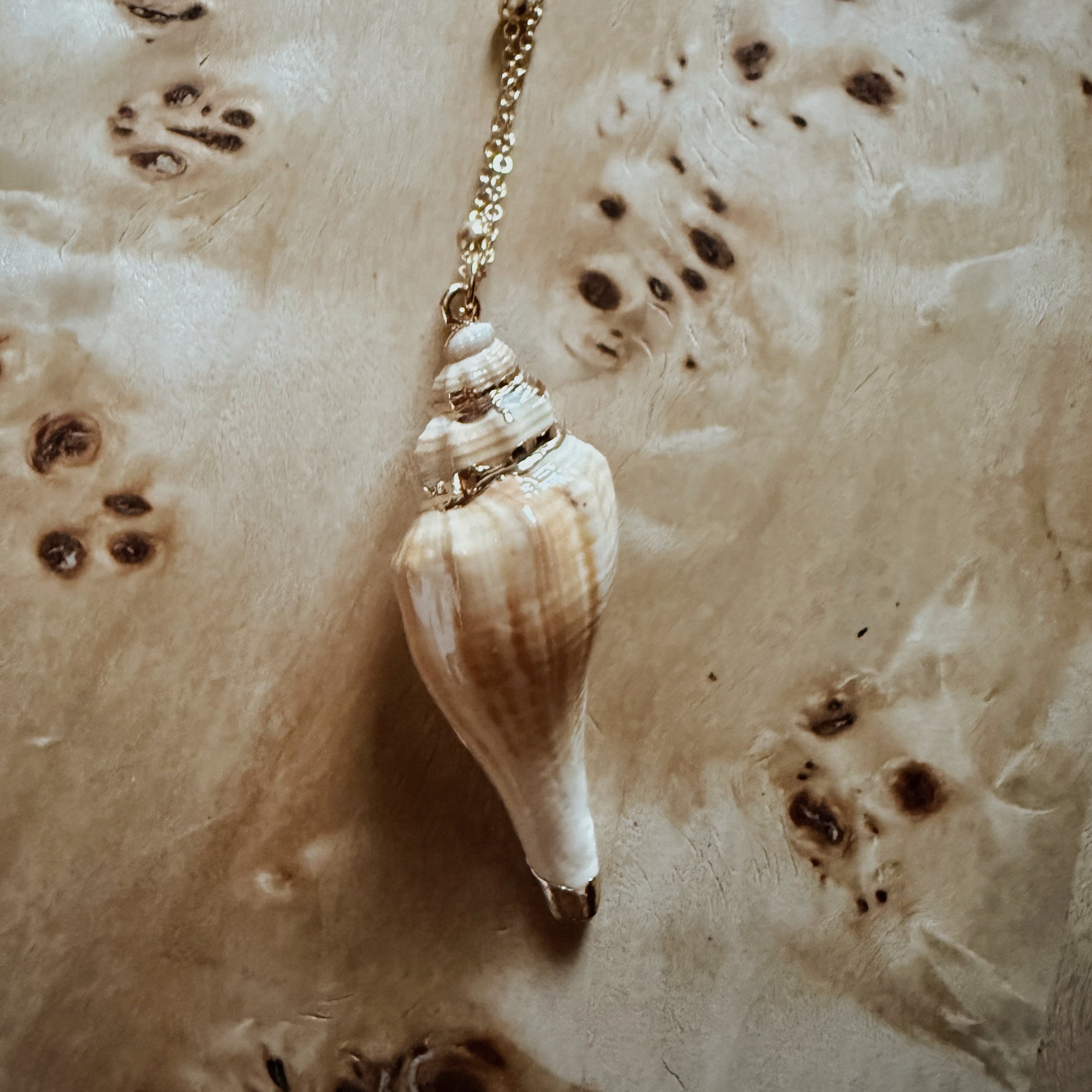 White Dipped Conch - Handmade Gold Dipped Seashell Pendant Necklace – Beach Jewelry Gift