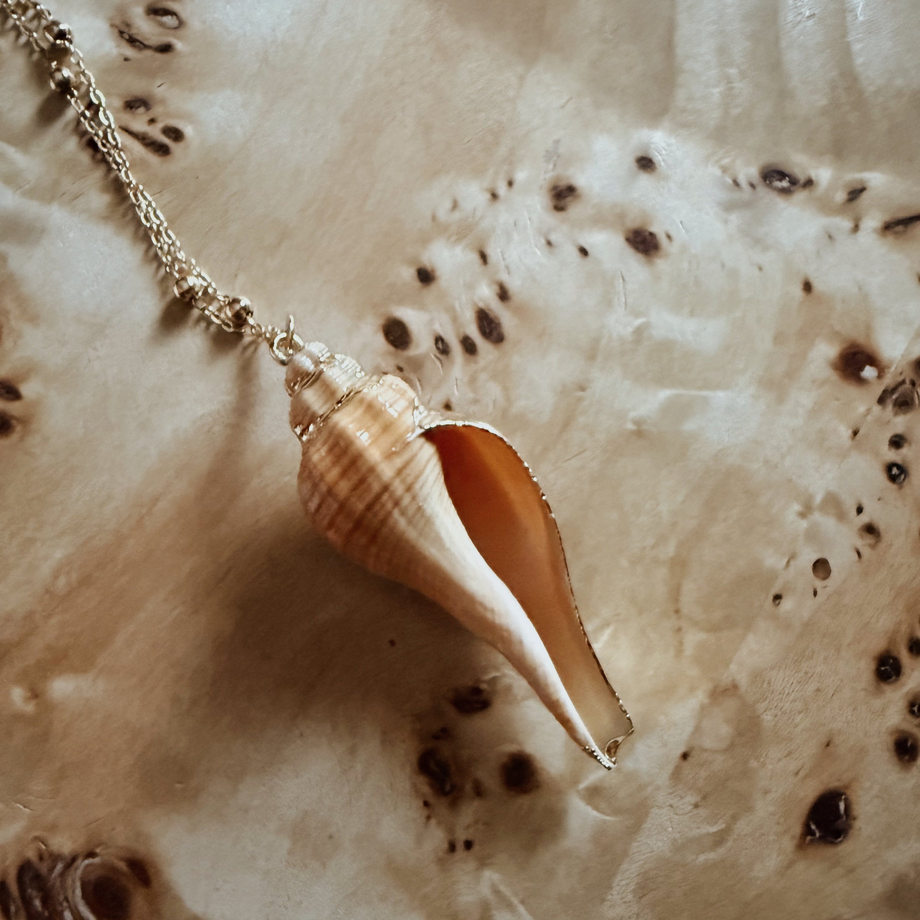 Beige Dipped Conch - Handmade Gold Dipped Seashell Pendant Necklace – Beach Jewelry Gift