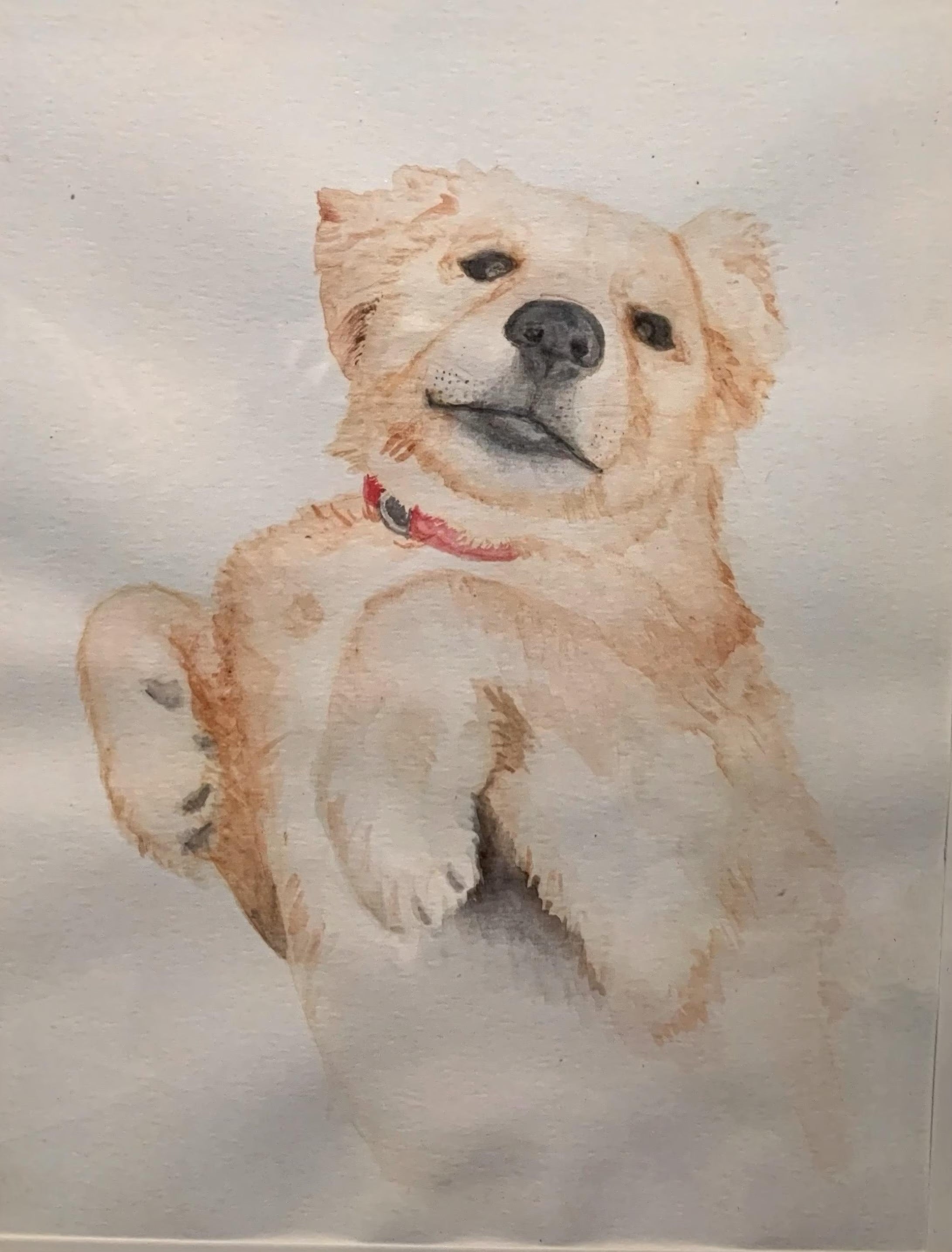 Custom Watercolor Painting | Personalized Artwork from Photo or Description | Pet, Home, or Memory Portrait | Assorted Size | 5 x7 in
